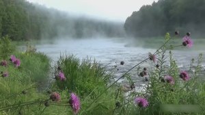 ШУМ РЕКИ ДЛЯ ДУШЕВНОГО СПОКОЙСТВИЯ