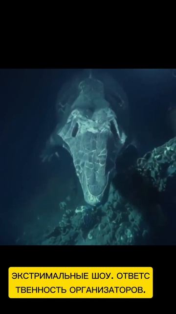 Экстримальные шоу. Ответственность организаторов.
#новости #отдых #туризм #экстрим #шоу #чп #шок #ро