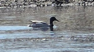 На реке местные жители