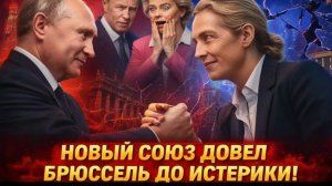 Германия в ярости Мерца шокировали тайные переговоры оппозиции с Путиным