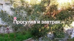 13-04-2026 Прогуливается по парку, Набережной и наш завтрак.