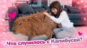 Спасаем капибару от мамы! Бьянка расчёсывает Капибусика после кустов, но Маша уже идёт домой!