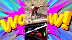 СМЕШНЫЕ ВИДЕО