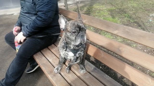 НАСТОЯЩИЙ ПАРИЖАНИН. МАРСЕЛЬ