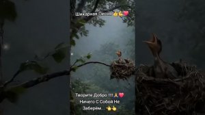 Творите Добро!!!