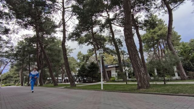 Хвойная пыльца это не всегда аллерген, но и природный концентрат биологически активных веществ.