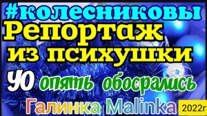 Колесниковы _Репортаж из психушки _УО опять об😁срались _Обзор Влогов _
