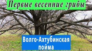 Собираем "синюю ножку". Апрель 2026