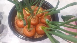 13.04.2026 Всякие разные растения + 3 сорта роз для заказа на осень 2026.