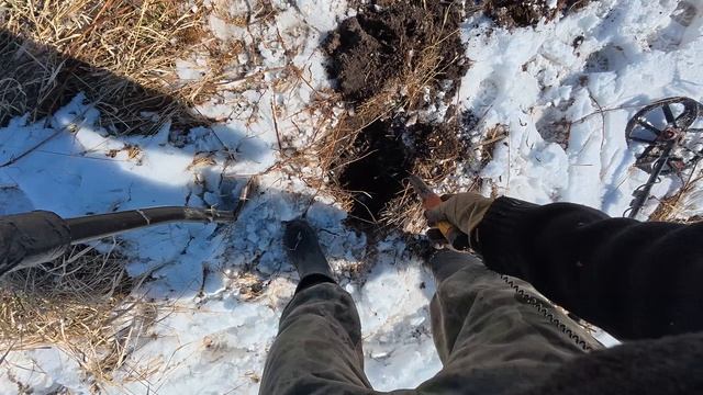 Воскресный выезд за монетами. Коп монет 2026 года.