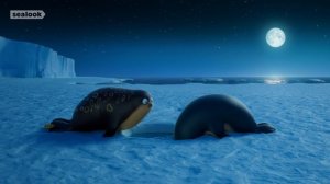 It's Not That Easy💦ㅣSEALOOKㅣEP.84