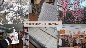 Дом - место отдыха и размышлений