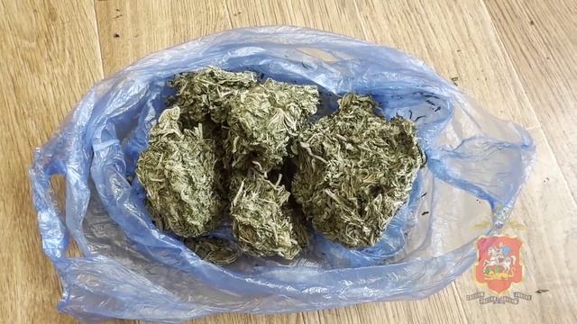 В Подольске полицейские задержали местного жителя, подозреваемого в сбыте 1,5 килограмма марихуаны