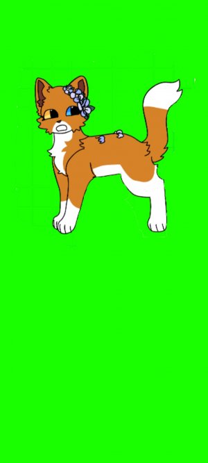 Обзор моих игрушек