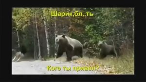 Ржач до слез! Комментарии наше все!