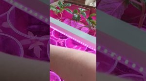 1000043590.mp4