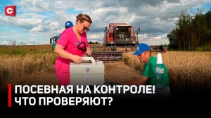 ПРОВЕРЯЮТ ВСЕ! Посевная на контроле | Как работают хозяйства? | Медосмотры и доставка обедов в поле