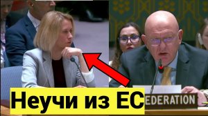 Игра с огнем: Евросоюз готовится к войне с Россией, забыв уроки Наполеона и Гитлера — Небензя