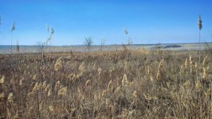 Весна в степи.Спокойная фоновая музыка для отдыха и расслабления