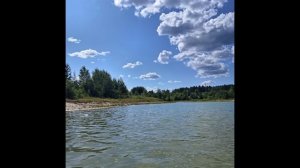 Малютина Елизавета