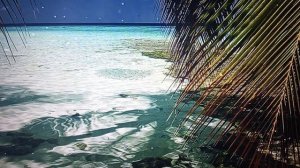 Рыма Чек — с помощницей Крошкой она устает больше чем когда готовит одна