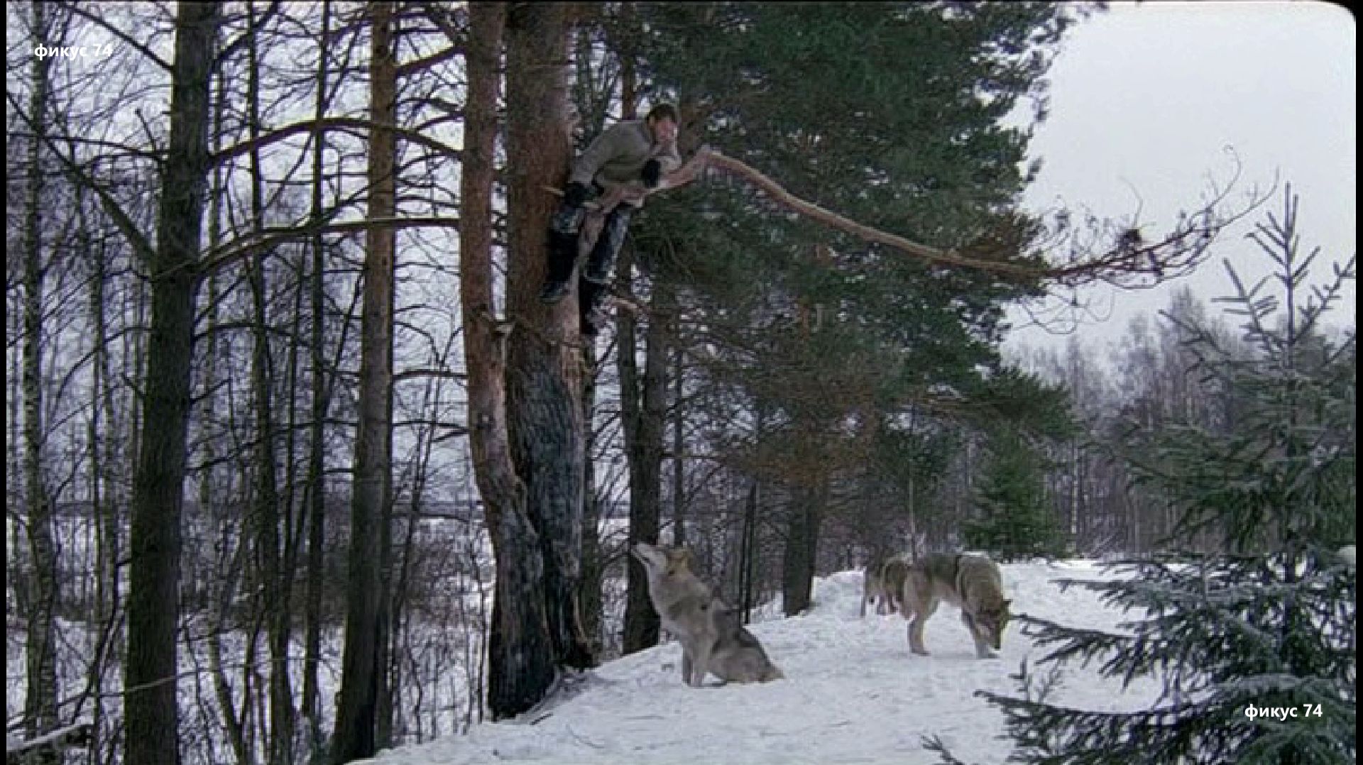 песня - Идет охота на волков - Владимир Высоцкий. х-ф Весьегонская волчица