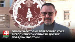 Порядка 1700 тонн берёзового сока заготовили в Гродненской области