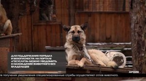 НОВОСТИ ИРТ 08-04-2026