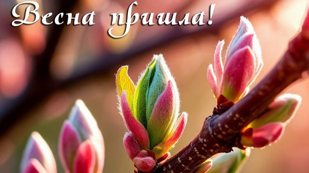 ПРОХЛАДА ВЕСЕННЯЯ