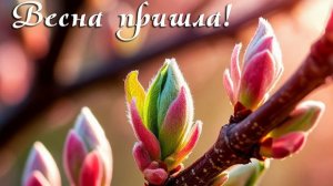 ПРОХЛАДА ВЕСЕННЯЯ