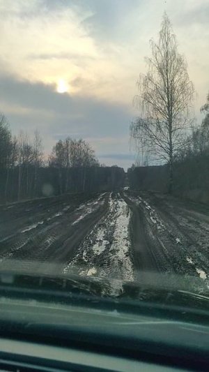 Дороги после лесовозов
