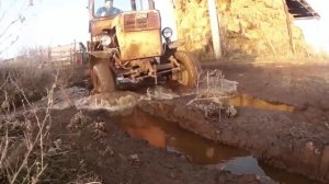 А много ль нам надо