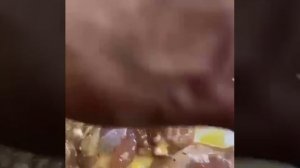 Клип сообщества Вкусняшка