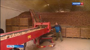 70 миллионов выделит областной бюджет на закупку овощей и картофеля для костромских соцучреждений