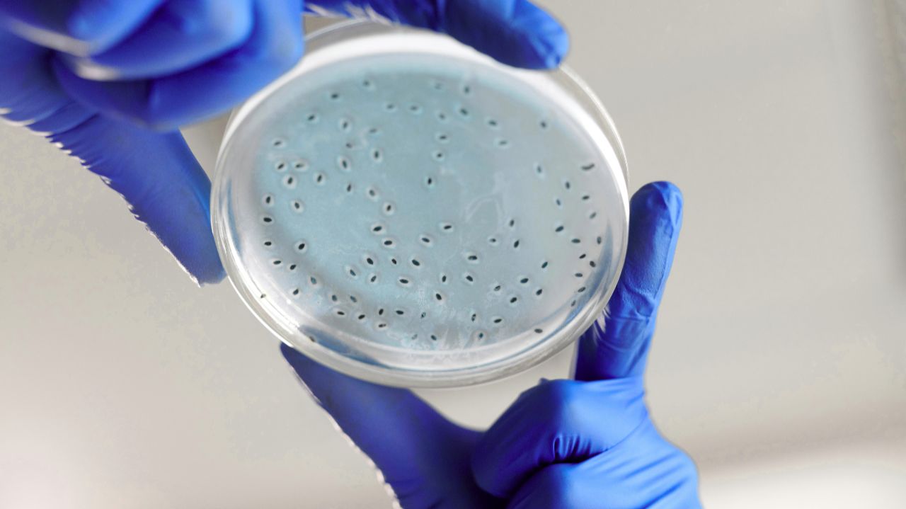 Лаборатория БИОТА