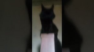 Поздравьте меня с днём рождения у меня он сегодня