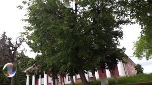 1215, 05.06.2021, Орёл, Ленинская, мыльные ТЦ Малиновая вода, уличная торговля игрушки, кукуруза