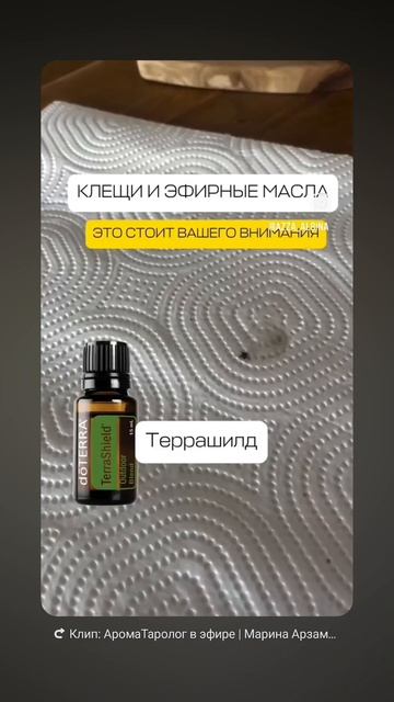 Позовчера муж увидел на работе у собаки клеща и обезвредел его, а это значит СЕЗОН НАСТУПИЛ.🙈