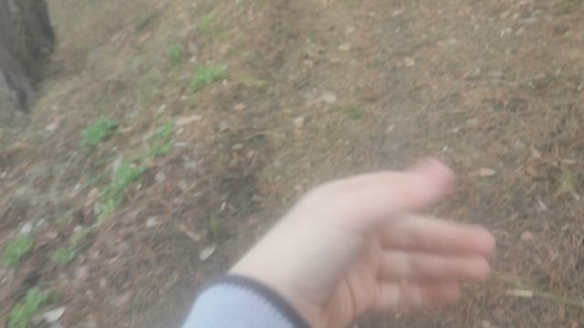 на природе часть 1