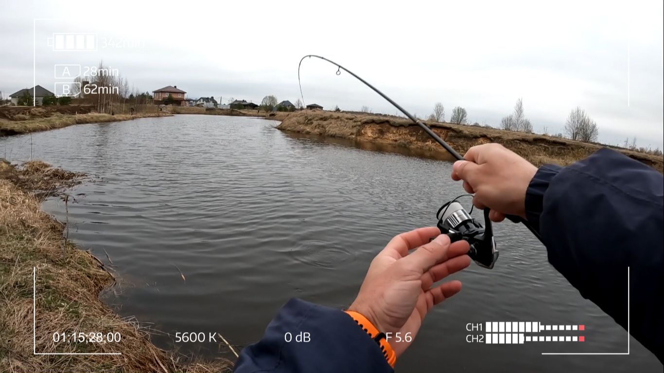 Весенний междусобойчик. Дубна 2026