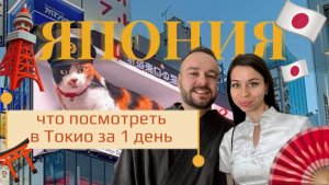 Япония. Что посмотреть за 1 день в Токио?
