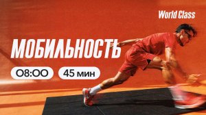 МОБИЛЬНОСТЬ с Альбертом Даниловым | 15 апреля 2026 | Онлайн-тренировки World Class