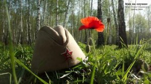 Мак на опушке #музыка #память #война