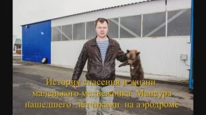 L'Orchestre De Franck Pourcel - La Playa