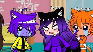 Вот как проходит наш день 🤣