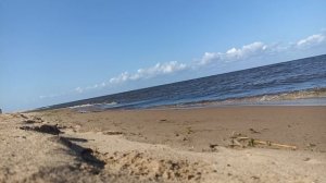 Песчаное побережье Финского залива