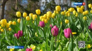 Синоптики обещают потепление в Белгородской области к выходным