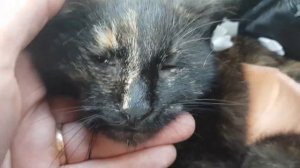 165. Забрал Алису из Клиники #shorts