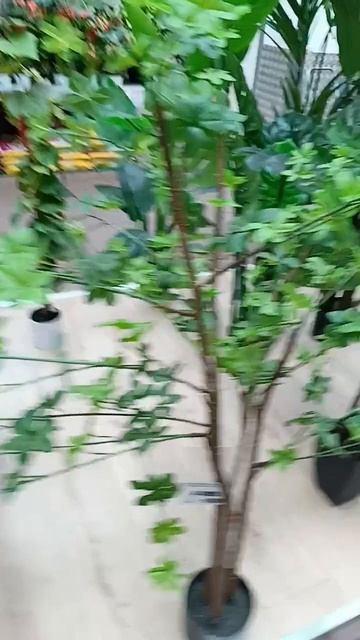 #какая красота в оби