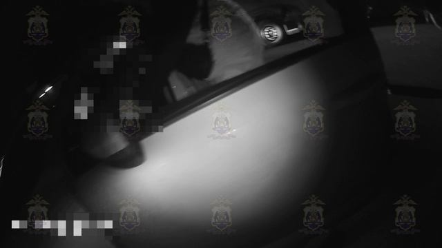 Новгородские полицейские пресекли транспортировку партии мефедрона из Ленобласти в Подмосковье